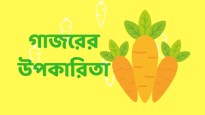 গাজরের উপকারিতা