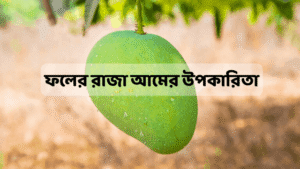 আমের উপকারিতা